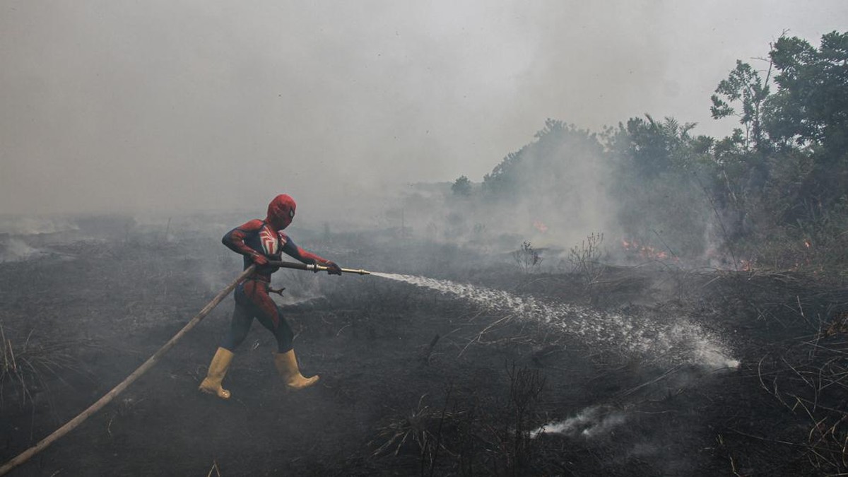 Tanggap Darurat Karhutla di Palangka Raya Diperpanjang