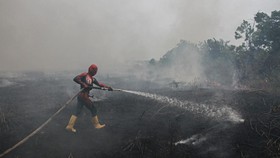 Tanggap Darurat Karhutla di Palangka Raya Diperpanjang