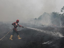 Mengapa Lahan Gambut Sangat Mudah Terbakar? Pakar BRIN Sebut Faktor Ini