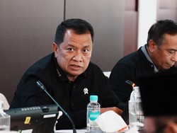 RUU Satu Data Indonesia Jadi Fondasi Tata Kelola Pemerintahan Digital