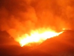 Bukit Teletubbies Gunung Bromo Terbakar