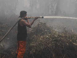 Kemenkes Ungkap Korban Karhutla di 6 Pronvisi: 4 Meninggal, 347 Luka-luka