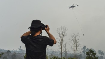 Karhutla di Tahura Jambi Meluas hingga 30 Hektare