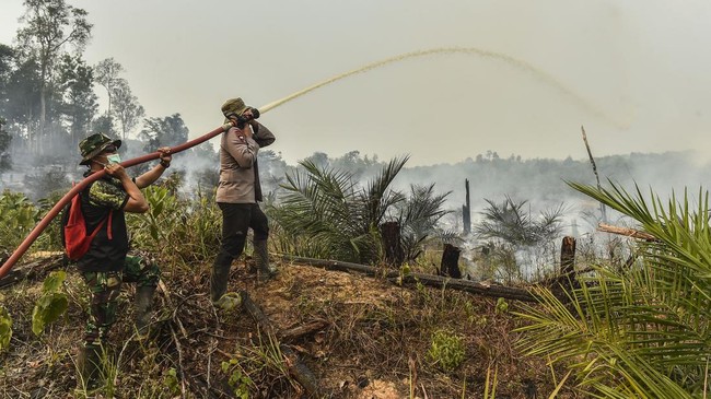 Karhutla di Tahura Jambi Meluas hingga 30 Hektare