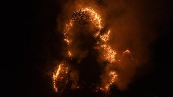 Karhutla Masih Membara di Palangka Raya, Api Sulit Padam di Lahan Gambut
