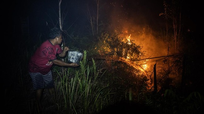 Karhutla Masih Membara di Palangka Raya, Api Sulit Padam di Lahan Gambut