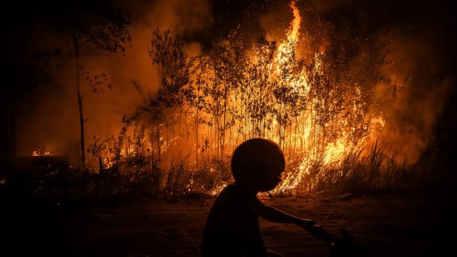 Karhutla Masih Membara di Palangka Raya, Api Sulit Padam di Lahan Gambut