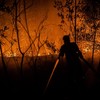 Relawan pemadam kebakaran berupaya memadamkan api yang membakar hutan dan lahan di Kecamatan Sebangau, Kota Palangka Raya, Kalimantan Tengah, Rabu (9/9/2026). Badan Nasional Penanggulangan Bencana (BNPB) mencatat kebakaran hutan dan lahan (karhutla)