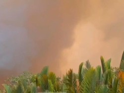 Kalteng Dikepung Asap, Muncul 968 Hotspot-14 Penerbangan Terganggu