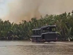 3.105 Ha TN Tanjung Puting Terbakar, Habitat Orang Utan Masih Terancam