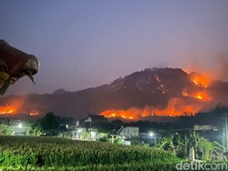 Gunung Prongos Ponorogo Membara! 5 Hektare Hutan Dilalap Api