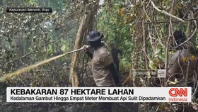 Kebakaran Lahan Gambut dan Perambahan Hutan Mangrove