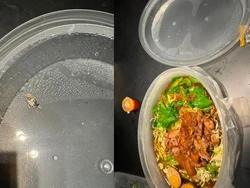Kecewa! Pesanan Makan Rp277 Ribu Malah Berisi Tahi Burung