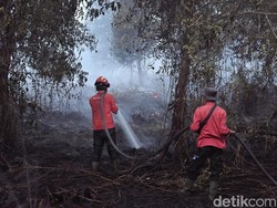 Upika Tualang Gandeng PT Arara Abadi-IKPP Turunkan Padamkan Karhutla di Siak