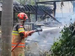 Lahan Ilalang di Bogor Terbakar gegara Warga Bakar Rumput Usai Bersih-bersih