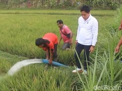 6 Subak di Petang Kering Kerontang, Pemkab Badung Pasok 3 Tangki Air