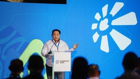 Indonesia Bangun PFII Untuk Jembatani Modal Asing Ke Proyek Riil