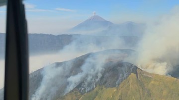 Ancaman Karhutla 2026: BPBD Catat 14 Gunung di Jawa Timur Dilalap Api, Titik Panas Masih Aktif!