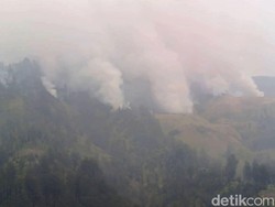 Emisi Karhutla Indonesia Tertinggi di Dunia, Lampaui Rusia