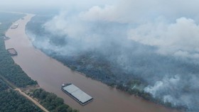 Foto udara asap membubung tinggi dari hutan yang terbakar di kawasan Suaka Margasatwa (SM) Padang Sugihan, Kecamatan Air Sugihan, Kabupaten Ogan Komering Ilir (OKI), Sumatera Selatan, Kamis (10/9/2026). Balai Konservasi Sumber Daya Alam (BKSDA) Suma