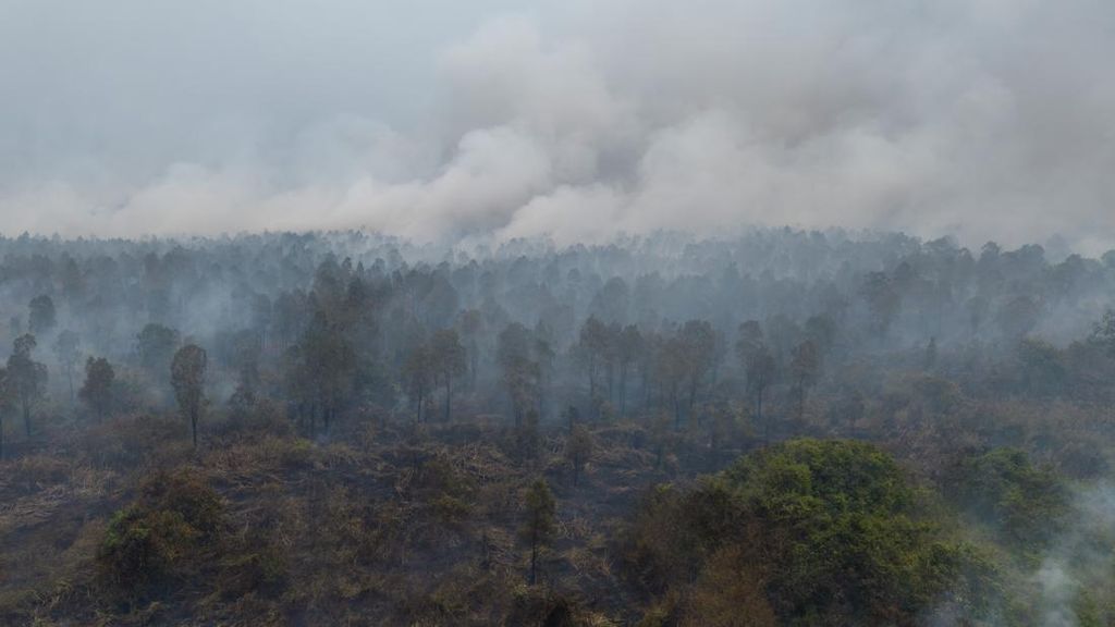 Karhutla Melanda 10 Distrik di Merauke, 63 Hektare Lahan Terbakar