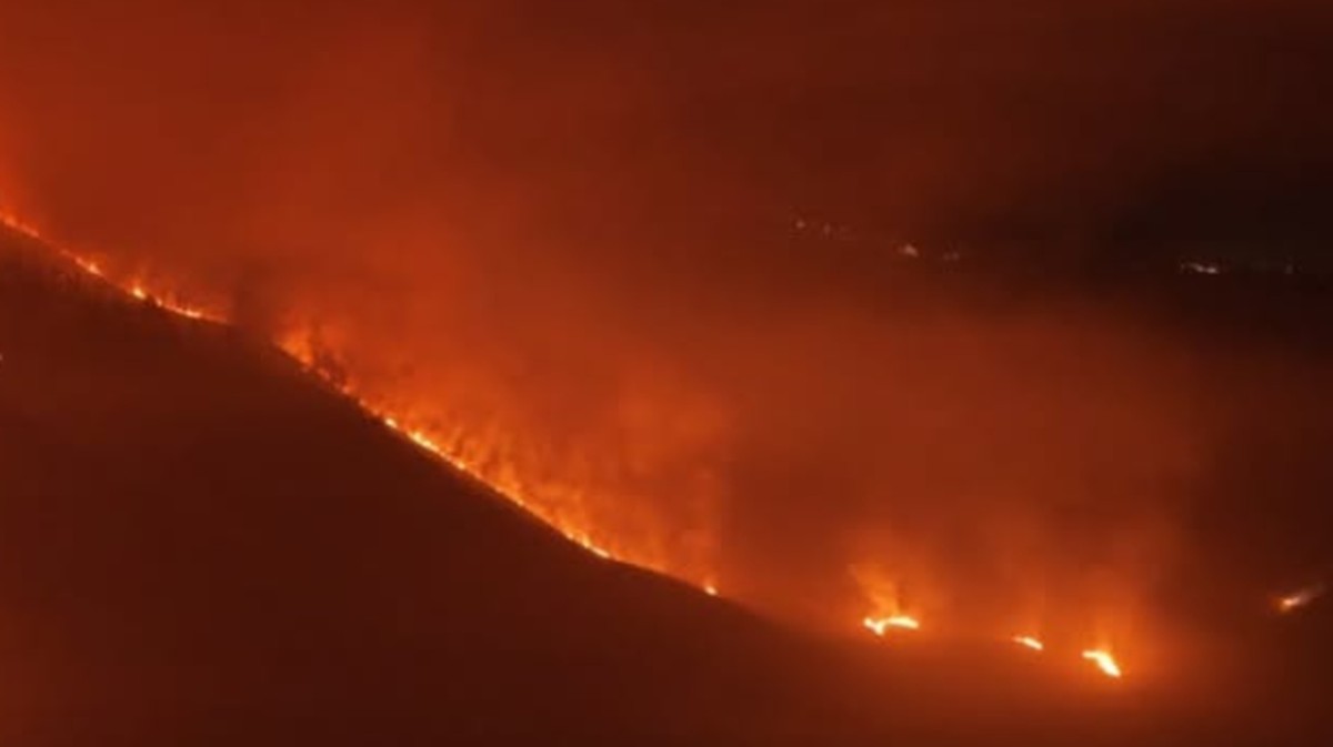 Wisata Bromo Tutup Gara-Gara Karhutla, 56 Personel Gabungan Dikerahkan