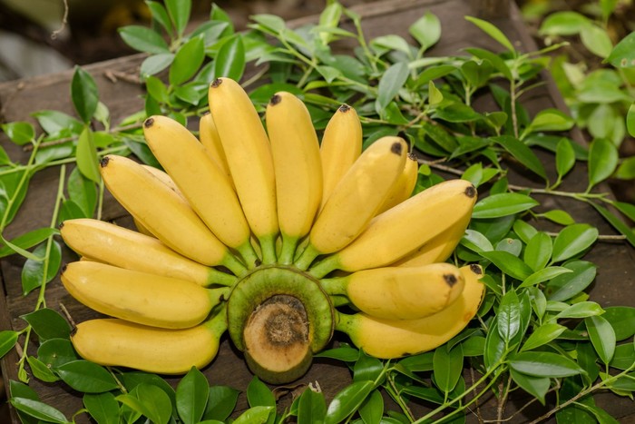 Deretan makanan yang sebaiknya tidak disimpan di kulkas