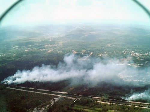 Foto udara kebakaran hutan dan lahan (karhutla) di deliniasi atau perbatasan kawasan Ibu Kota Nusantara (IKN), Kalimantan Timur, Kamis (10/9/2026). TNI AU, Otorita IKN, dan BMKG SAMS Sepinggan Balikpapan melakukan patroli udara untuk mendeteksi titik