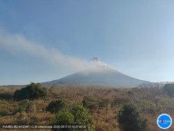 3 Gunung Api Erupsi Pagi Ini: Gunung Ibu, Ili Lewotolok, dan Semeru