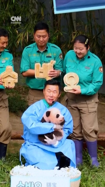thumbnail video panda
