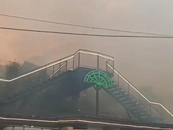 Sudah Capai Malang, Api Karhutla Kepung Kafe Bromo Hillside