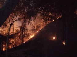 Hutan Bukit Pertapan Bayat Terbakar Malam Ini