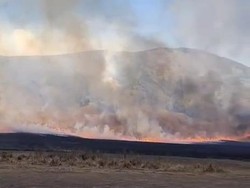 Api Karhutla Bromo Muncul Lagi, Kali Ini Mengarah ke Malang