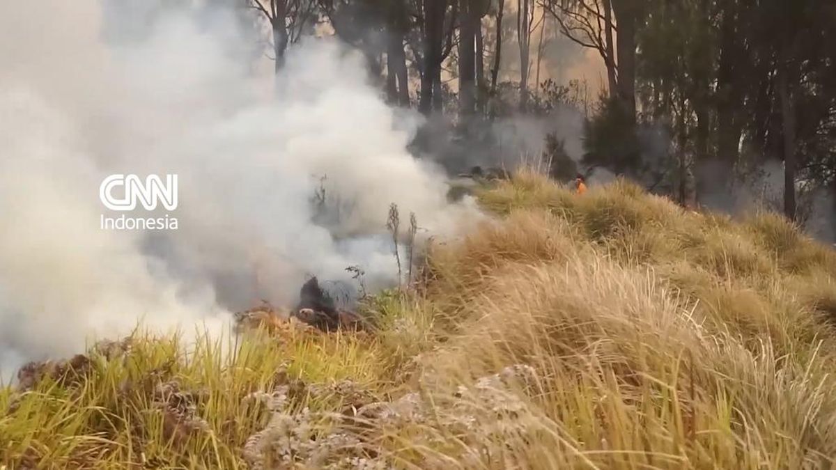 Kebakaran Gunung Bromo Terjadi Lagi, Merambat ke Bukit Teletubbies