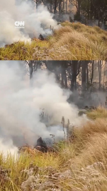 Kebakaran Gunung Bromo Terjadi Lagi, Merambat ke Bukit Teletubbies