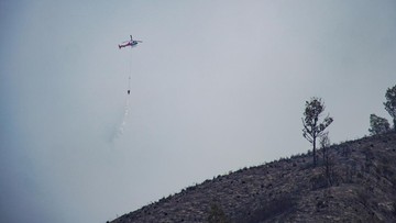BNPB Kirim Pesawat-Heli dari Kalimantan Percepat Atasi Karhutla Jatim - Infolitik