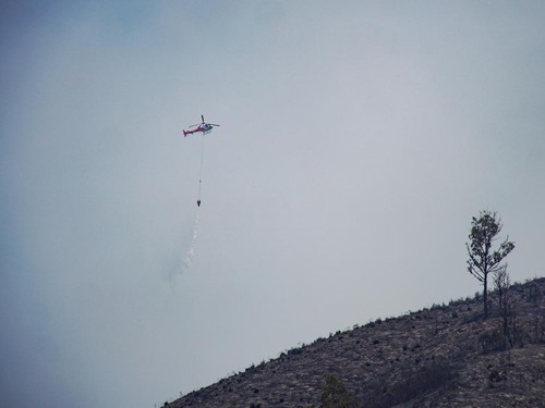 BNPB mengirim pesawat dan helikopter dari Kalimantan untuk atasi kebakaran hutan di Jawa Timur.