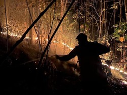 128 Hektare Lahan di Pringsewu Lampung Terbakar, Api Dipadamkan hingga Malam