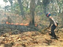 Cegah Karhutla, Polsek Panceng Rangkul Pengelola Hutan dan Warga