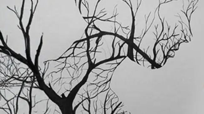 Tes Kepribadian: Gambar Orang alias Pohon yang Kamu Lihat Pertama? Ini Artinya…