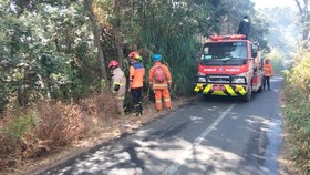 Kebakaran hutan dan lahan di kawasan Taman Nasional Bromo Tengger Semeru (TNBTS) semakin meluas. Titik api kini telah merembet hingga ke tepi Jalan Raya Malang-Lumajang, tepatnya di sekitar Pos Jemplang, Desa Ngadas, Kecamatan Poncokusumo, Kabupaten