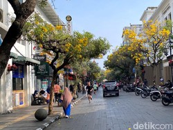 Tabebuya Bermekaran di Jalan Braga, Berpadu Cantik dengan Arsitektur Art Deco