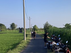 Jalan Kubon Tubuh Jadi Spot Jogging Favorit Warga di Klungkung