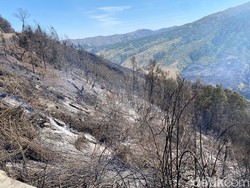 BPBD Siapkan Opsi Hujan Buatan Untuk Tangani Karhutla Gunung di Jatim