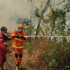 Petugas gabungan melakukan pemadaman kebakaran hutan di kawasan Taman Nasional Bromo Tengger Semeru (TNBTS), Kabupaten Malang, Jawa Timur, Minggu (13/9/2026). Dalam penanganan kebakaran tersebut, BB TNBTS dibantu 102 petugas dari berbagai unsur, yakn