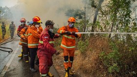 Petugas gabungan melakukan pemadaman kebakaran hutan di kawasan Taman Nasional Bromo Tengger Semeru (TNBTS), Kabupaten Malang, Jawa Timur, Minggu (13/9/2026). Dalam penanganan kebakaran tersebut, BB TNBTS dibantu 102 petugas dari berbagai unsur, yakn