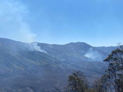 Karhutla Bromo Meluas, Masih Ditemukan Titik Api di Jemplang