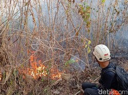 Kebakaran Hutan Bukit Pertapan Bayat Klaten Belum Padam