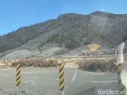 Karhutla Gunung Bromo, Api di Pengol dan Watangan Padam Total