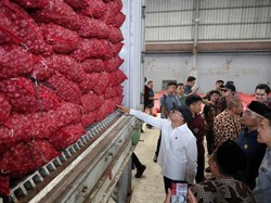 Zulkifli Hasan Lepas Ekspor Bawang Merah Brebes ke Thailand